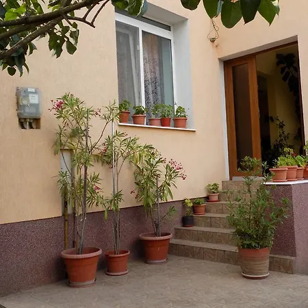 Casa Teo Rum i privatbostad Hunedoara